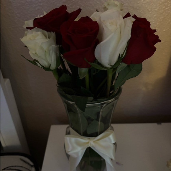 Meet your Posher, Rashel - Picture 1 of 1